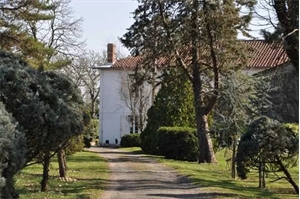 maison de maitre à la vente -   81300  GRAULHET, surface 320 m2 vente maison de maitre - UBI462084797